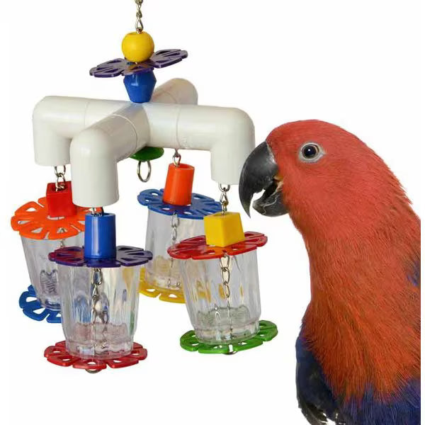 Super Bird Creations 4 Way Forager Bird Toy – Medium/Large