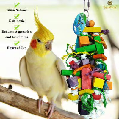 SunGrow Parrot Chew & Foraging Block Bird Toy – Multicolor